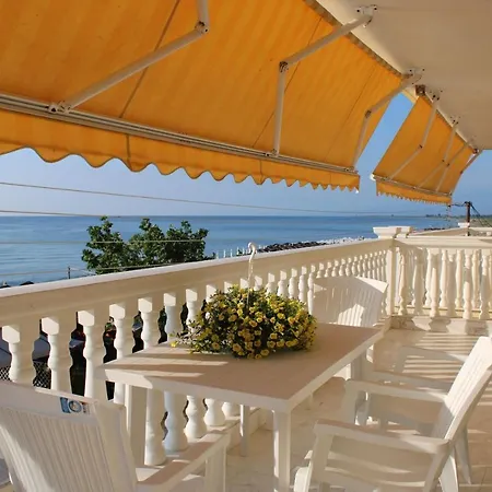 Olympic Daire